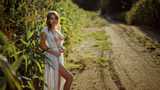 1754830 (a): :2000x1125